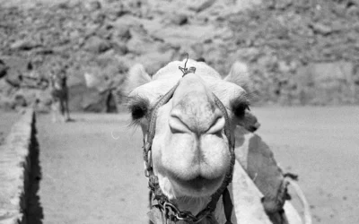 La Jordanie en photos